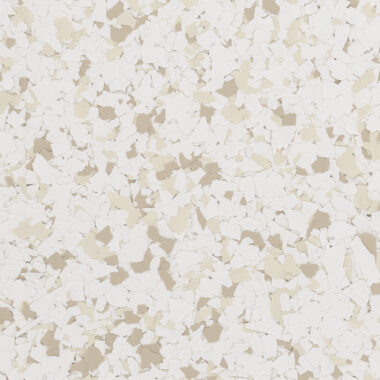 Sand Dollar
