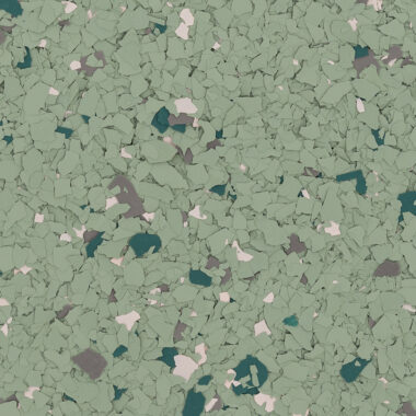Sedum